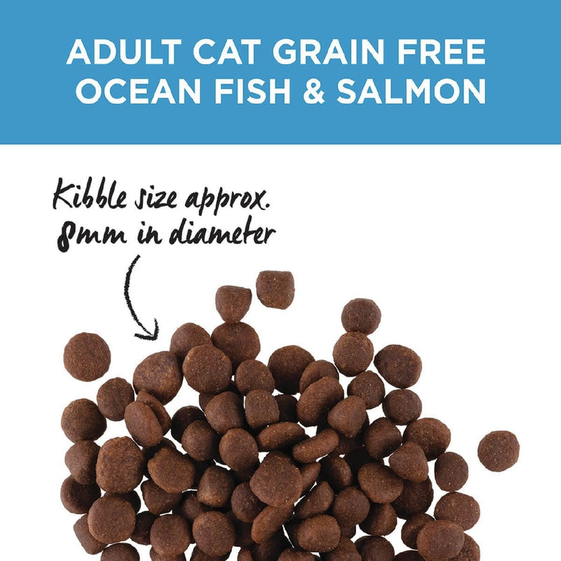 Ivory Coat Cat Grainfree Ocean Fish & Salmon 2kg-Cat Food & Treats-Ascot Saddlery