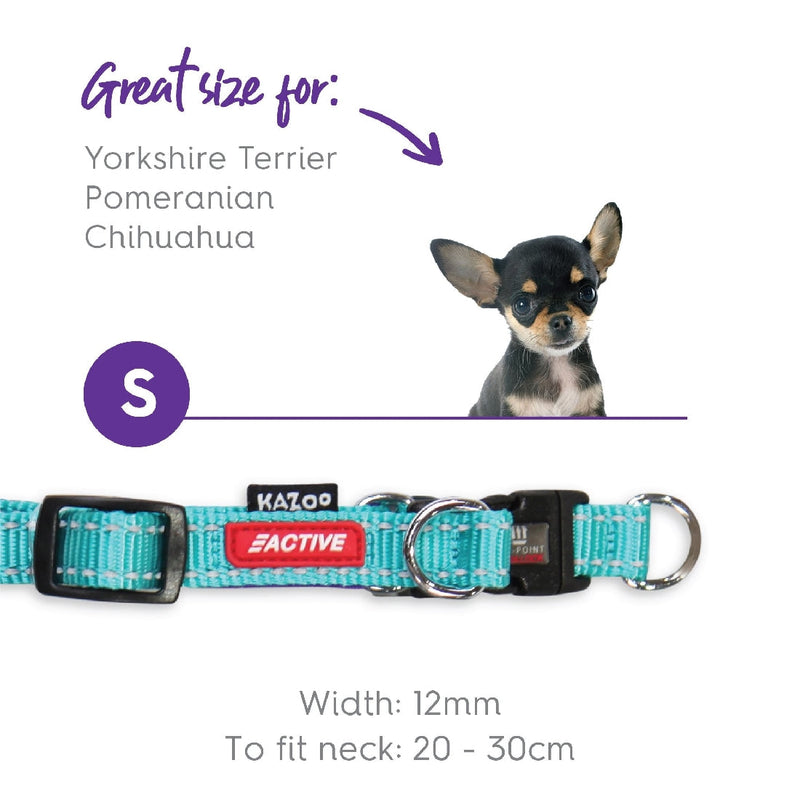 Kazoo Dog Collar Active Adjustable Aqua & Purple-Dog Collars & Leads-Ascot Saddlery