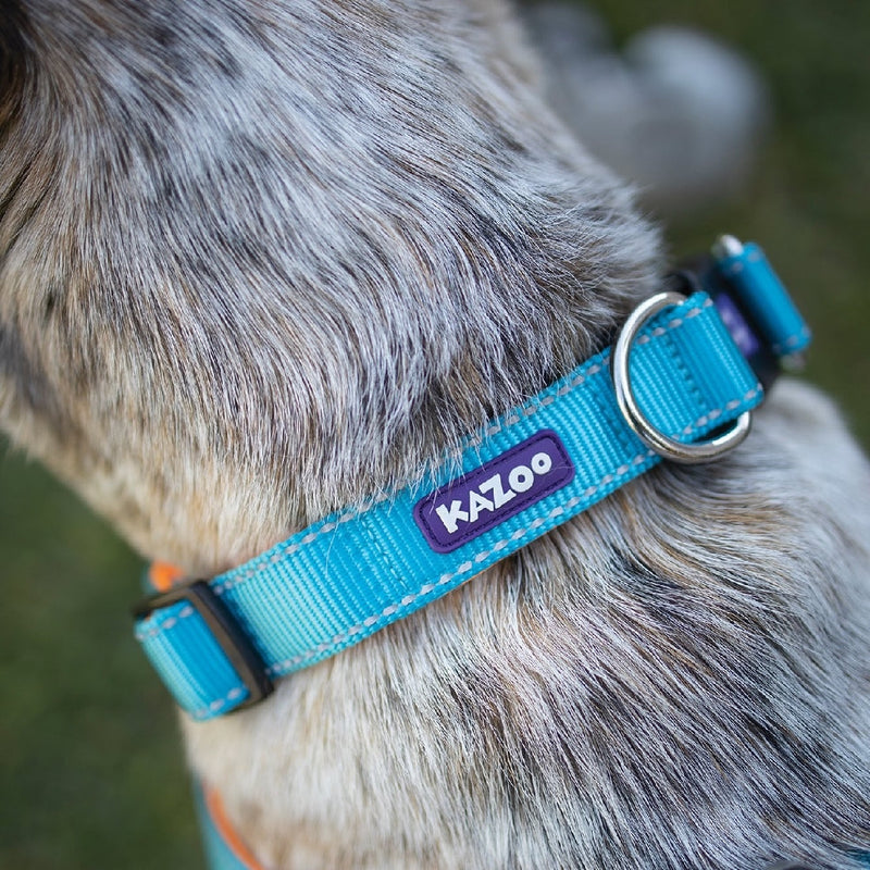 Kazoo Dog Collar Active Adjustable Ocean Sunrise-Dog Collars & Leads-Ascot Saddlery