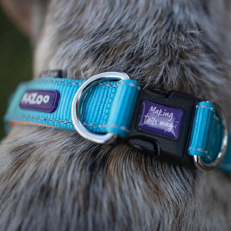 Kazoo Dog Collar Active Adjustable Ocean Sunrise-Dog Collars & Leads-Ascot Saddlery