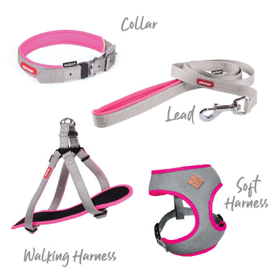 Kazoo Dog Collar Active Silver & Pink-Dog Collars & Leads-Ascot Saddlery