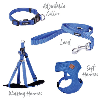 Kazoo Dog Collar Classic Adjustable Blue-Dog Collars & Leads-Ascot Saddlery