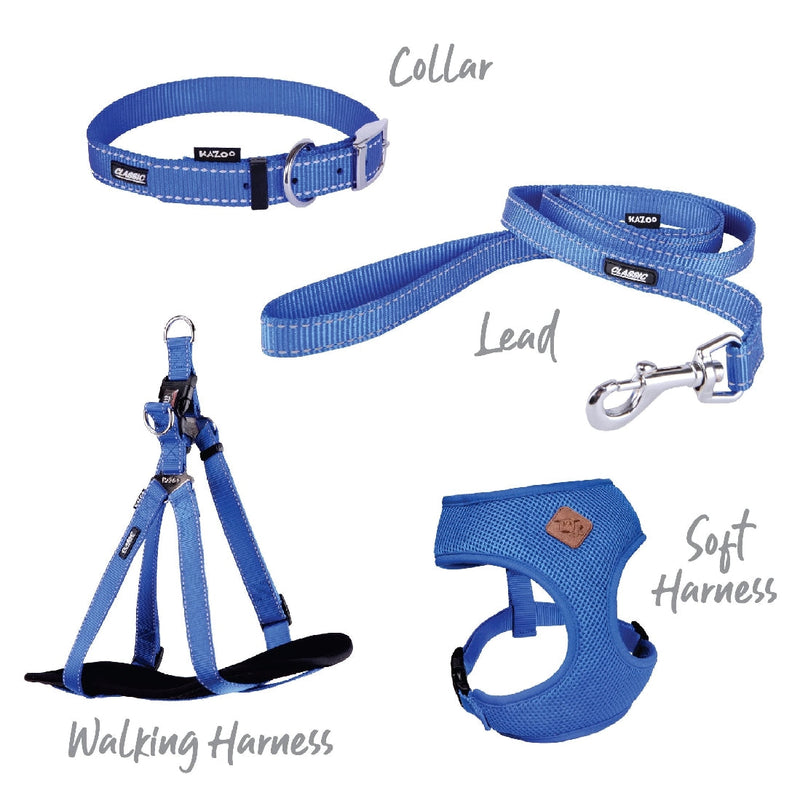 Kazoo Dog Collar Classic Blue-Dog Collars & Leads-Ascot Saddlery