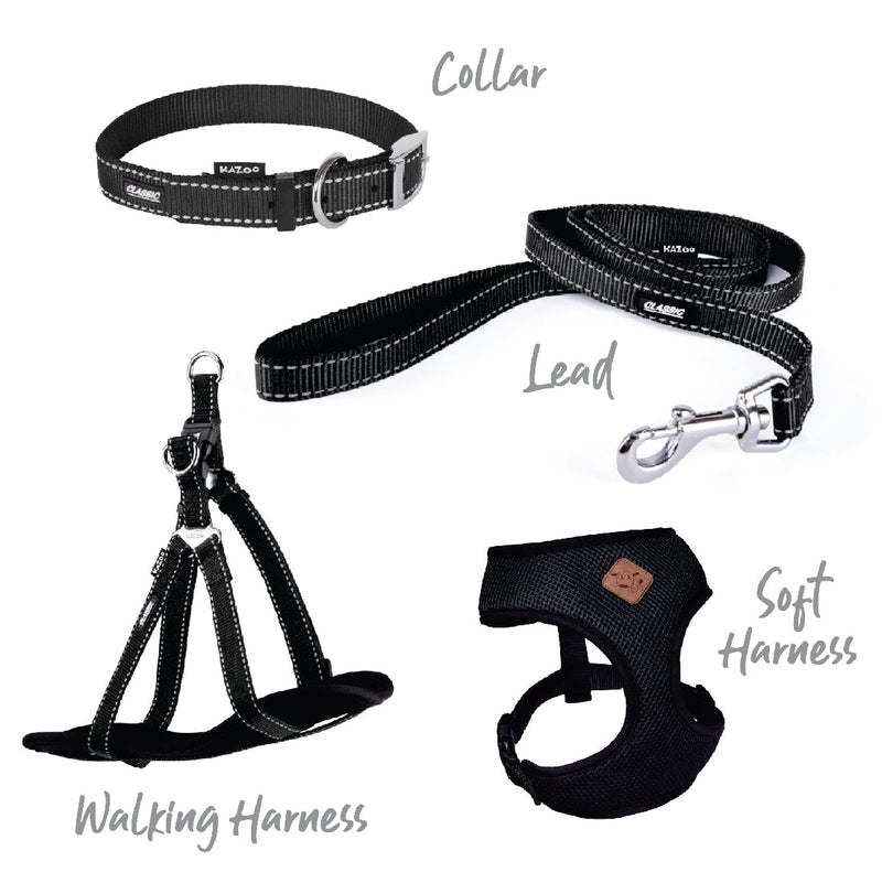 Kazoo Dog Collar Classic Red-Dog Collars & Leads-Ascot Saddlery