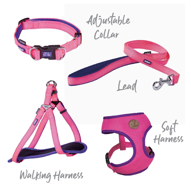 Kazoo Dog Harness Active Bloom Burst-Dog Collars & Leads-Ascot Saddlery