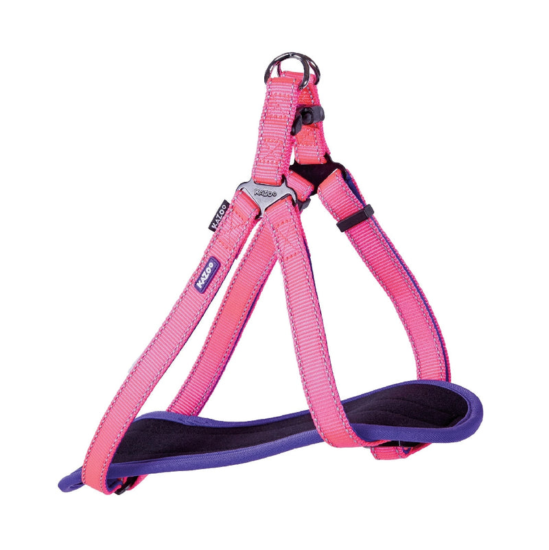 Kazoo Dog Harness Active Bloom Burst-Dog Collars & Leads-Ascot Saddlery