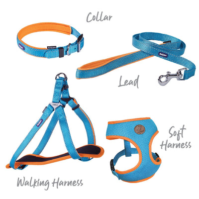 Kazoo Dog Harness Active Ocean Sunrise-Dog Collars & Leads-Ascot Saddlery