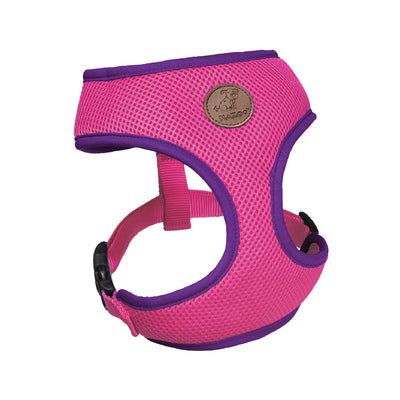 Kazoo Dog Harness Active Soft Bloom Burst-Dog Collars & Leads-Ascot Saddlery