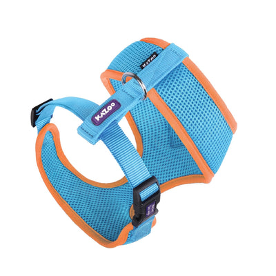 Kazoo Dog Harness Active Soft Ocean Sunrise-Dog Collars & Leads-Ascot Saddlery