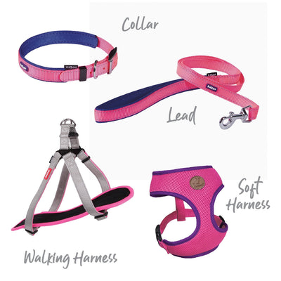 Kazoo Dog Leash Active Bloom Burst 1200mm-Dog Collars & Leads-Ascot Saddlery