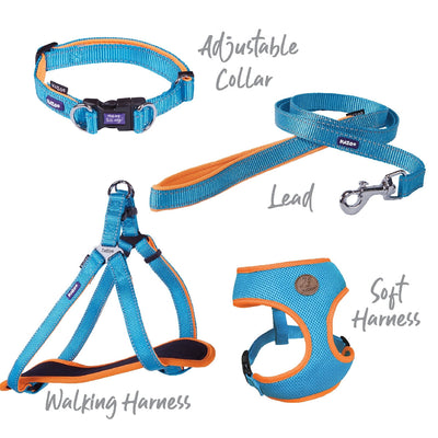 Kazoo Dog Leash Active Ocean Sunrise 1200mm-Dog Collars & Leads-Ascot Saddlery