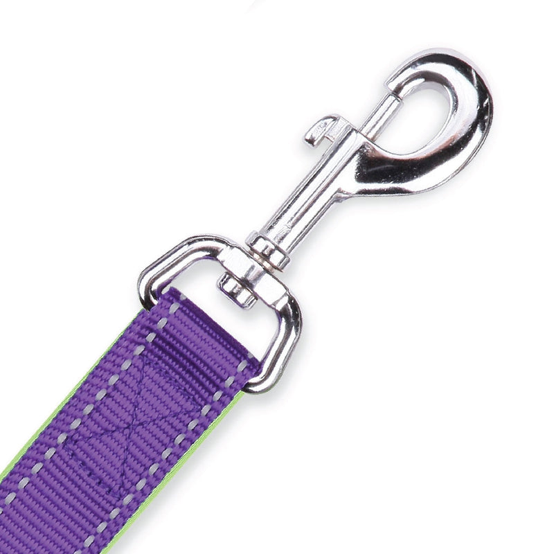 Kazoo Dog Leash Active Purple & Lime 1800mm-Dog Collars & Leads-Ascot Saddlery