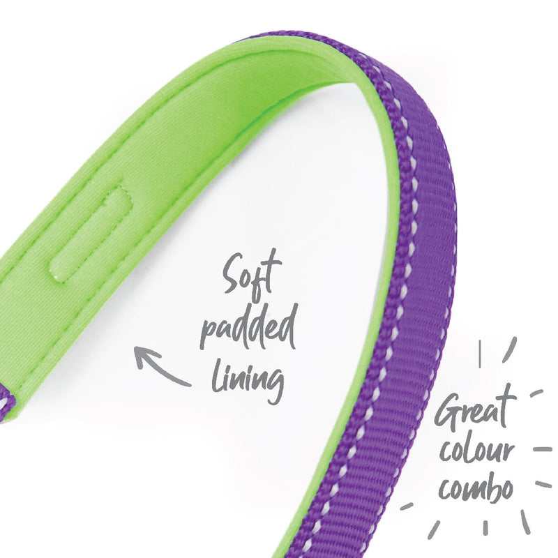 Kazoo Dog Leash Active Purple & Lime 1800mm-Dog Collars & Leads-Ascot Saddlery