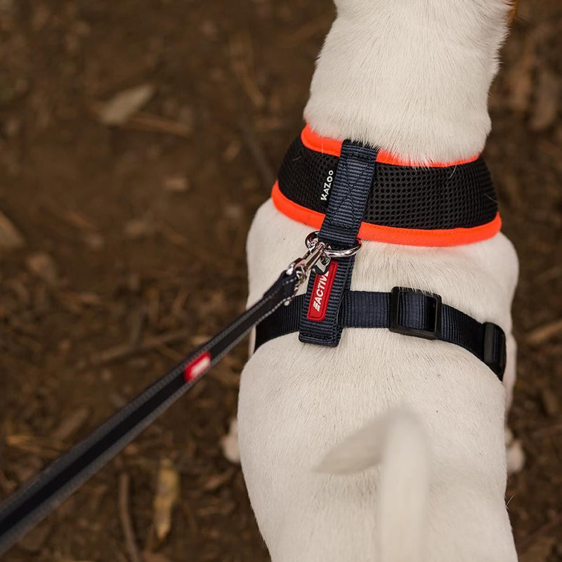 Kazoo Dog Leash Active Slate & Orange 1800mm-Dog Collars & Leads-Ascot Saddlery