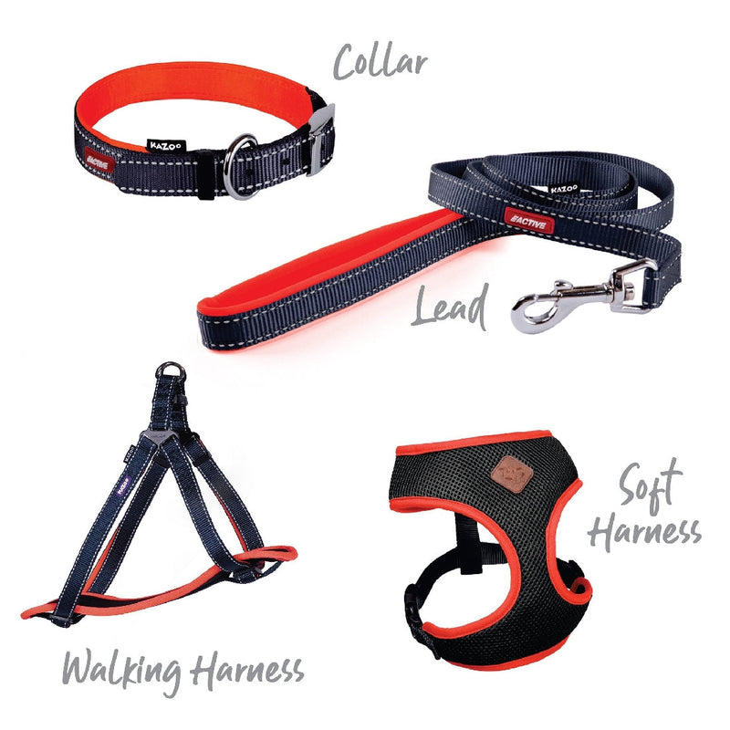 Kazoo Dog Leash Active Slate & Orange 1800mm-Dog Collars & Leads-Ascot Saddlery