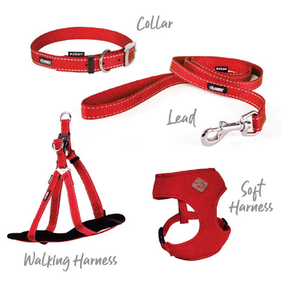 Kazoo Dog Leash Classic Red 1200mm-Dog Collars & Leads-Ascot Saddlery