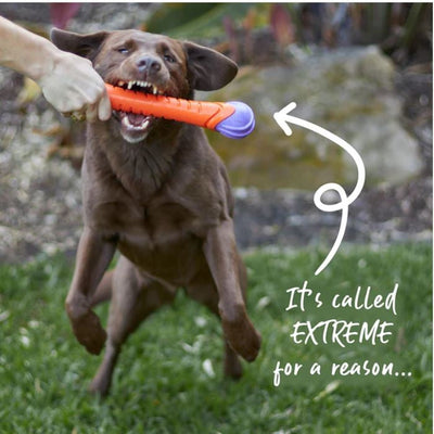 Kazoo Dog Toy Extreme Play Chew Stick Large-Dog Toys-Ascot Saddlery