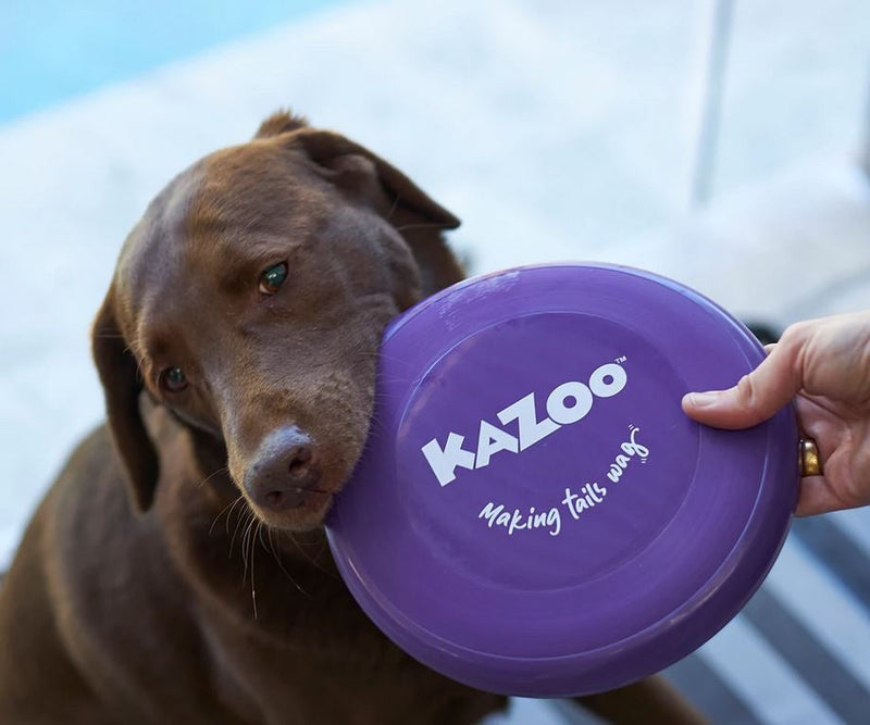 Kazoo Dog Toy Frisbee-Dog Toys-Ascot Saddlery