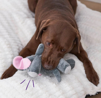 Kazoo Dog Toy Furries Long Eared Elephant Large-Dog Toys-Ascot Saddlery