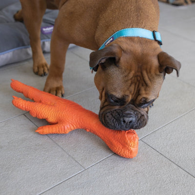 Kazoo Dog Toy Latex Chicken Foot Giant-Dog Toys-Ascot Saddlery