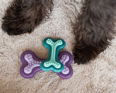 Kazoo Dog Toy Puppy Teether-Dog Toys-Ascot Saddlery