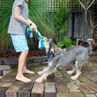 Kazoo Dog Toy Twisted Rope Knot Bone-Dog Toys-Ascot Saddlery