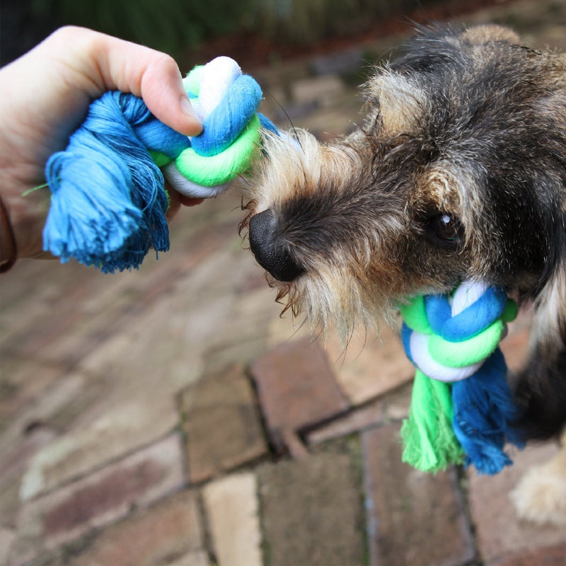 Kazoo Dog Toy Twisted Rope Knot Bone-Dog Toys-Ascot Saddlery