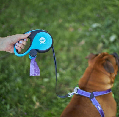 Kazoo Retractable Lead With Poop Bag Dispenser Medium-Dog Collars & Leads-Ascot Saddlery