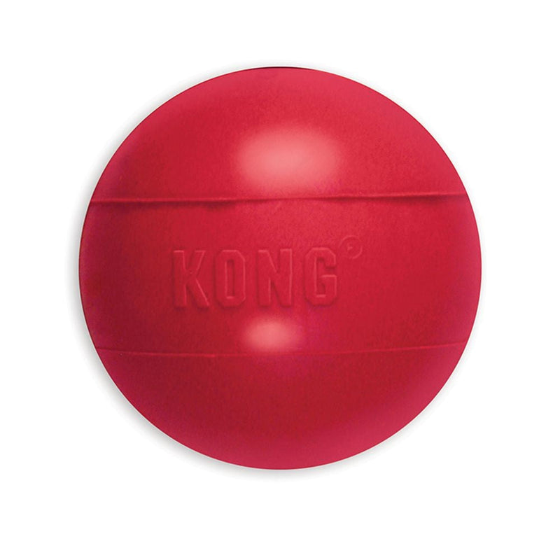 Kong Dog Toy Ball-Dog Toys-Ascot Saddlery