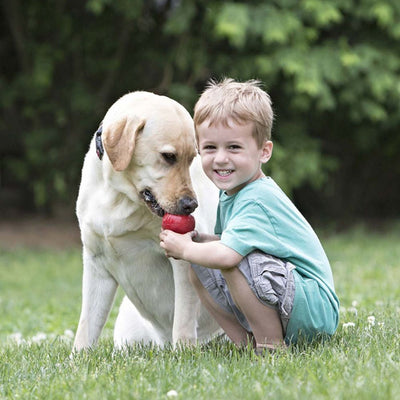 Kong Dog Toy Classic Red-Dog Toys-Ascot Saddlery