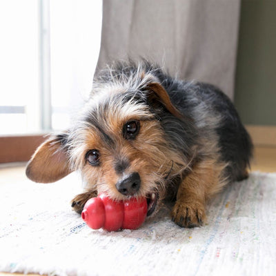 Kong Dog Toy Classic Red-Dog Toys-Ascot Saddlery