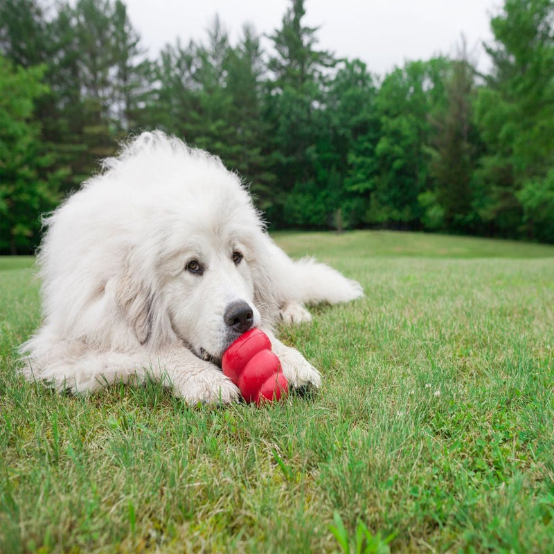 Kong Dog Toy Classic Red-Dog Toys-Ascot Saddlery