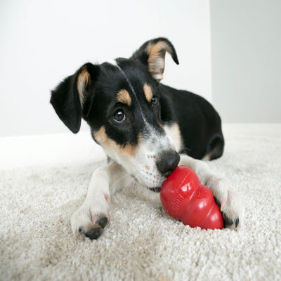 Kong Dog Toy Classic Red-Dog Toys-Ascot Saddlery