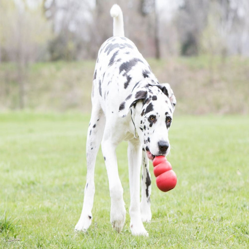 Kong Dog Toy Classic Red-Dog Toys-Ascot Saddlery