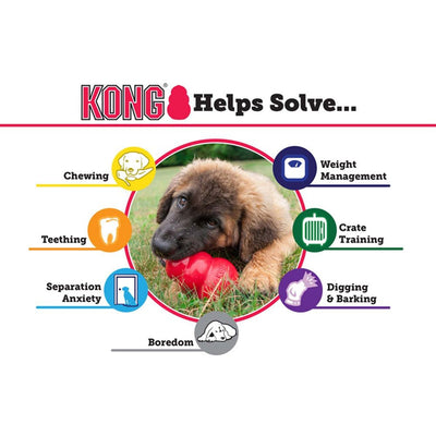 Kong Dog Toy Senior Medium-Dog Toys-Ascot Saddlery