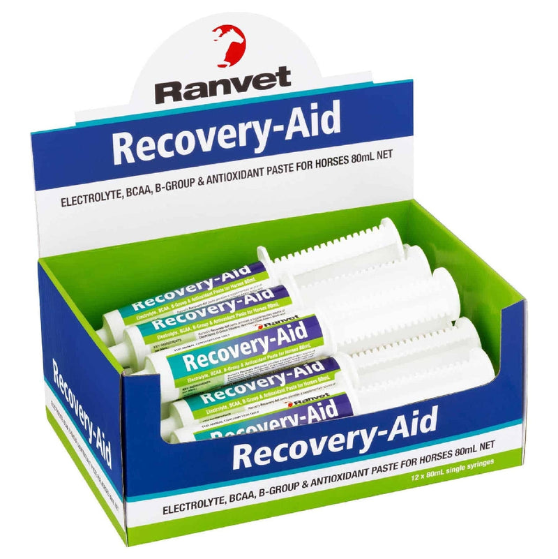 Ranvet Recovery Drench Paste 80gm-STABLE: Supplements-Ascot Saddlery