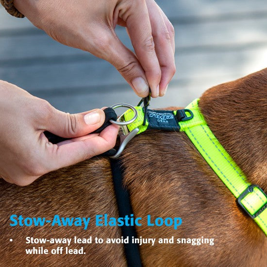 Rogz Control Dog Stop Pull Harness Black-Dog Collars & Leads-Ascot Saddlery