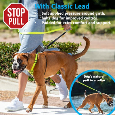 Rogz Control Dog Stop Pull Harness Red-Dog Collars & Leads-Ascot Saddlery