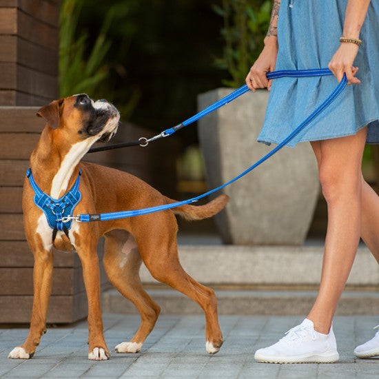 Rogz Control Dog Stop Pull Harness Red-Dog Collars & Leads-Ascot Saddlery