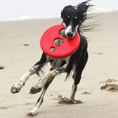 Rogz Dog Toy Frisbee Red-Dog Toys-Ascot Saddlery