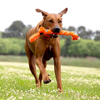 Rogz Dog Toy Scrubz Pink-Dog Toys-Ascot Saddlery