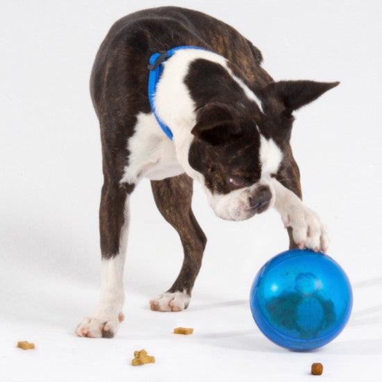 Rogz Dog Toy Treat Tumbler Blue-Dog Toys-Ascot Saddlery