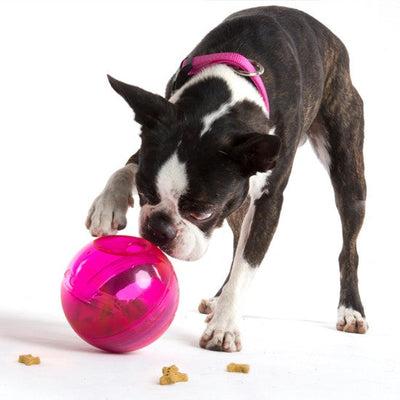 Rogz Dog Toy Treat Tumbler Pink-Dog Toys-Ascot Saddlery