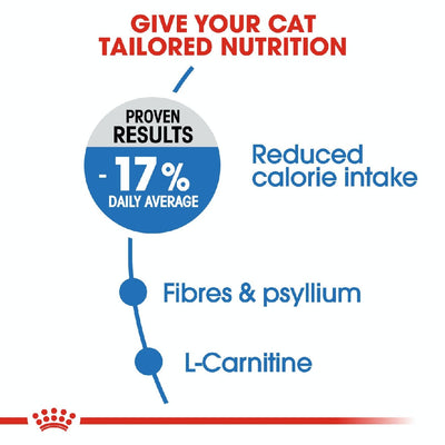 Royal Canin Cat Light Care 1.5kg-Cat Food & Treats-Ascot Saddlery