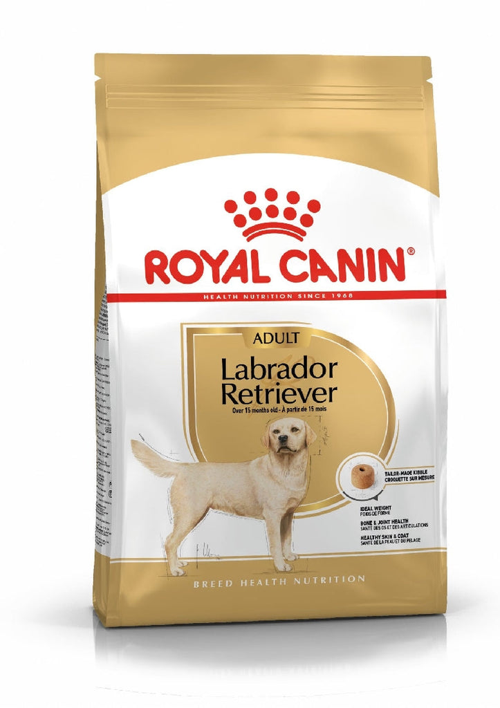 Labrador royal 2024 canin puppy