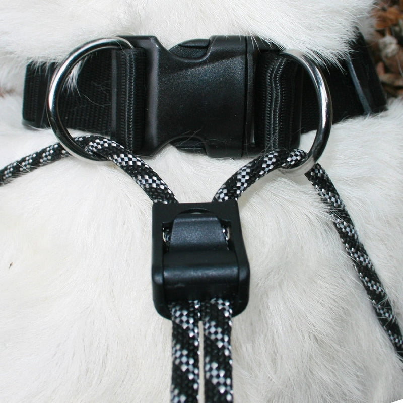 Sporn Big Dog Halter Black-Dog Collars & Leads-Ascot Saddlery