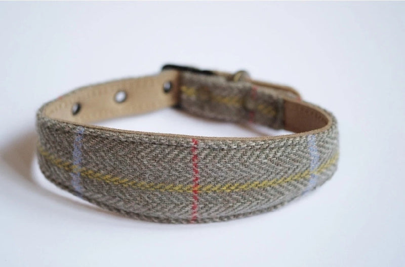 Tweedmill best sale dog collar