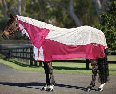 Zz Kool Master Air Max Combo White & Pink-RUGS: Summer Rugs, Neck Rugs & Hoods-Ascot Saddlery